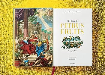 91ssYCIA+XL._AC_UF350,